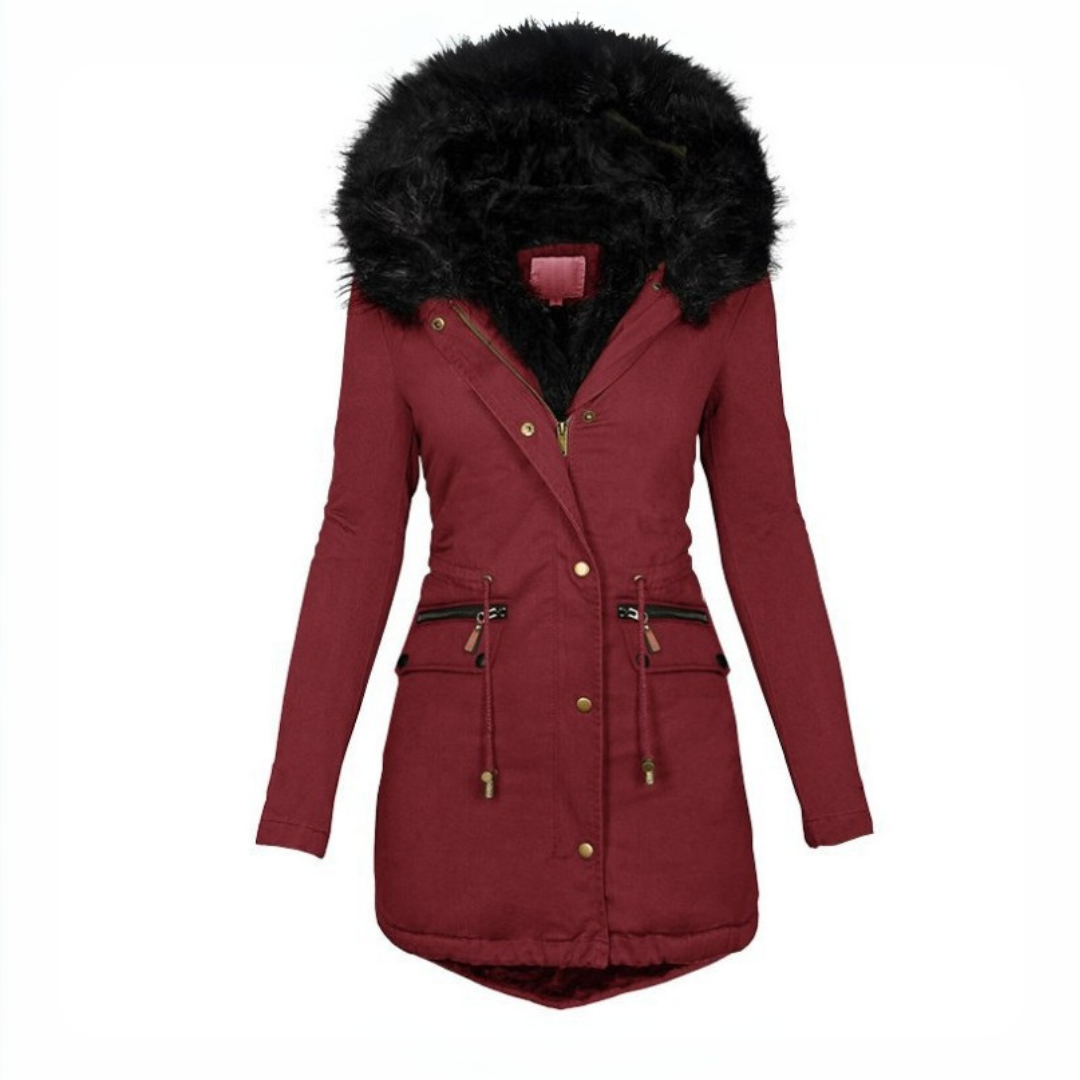 Celi | Stylish Collar Jacket